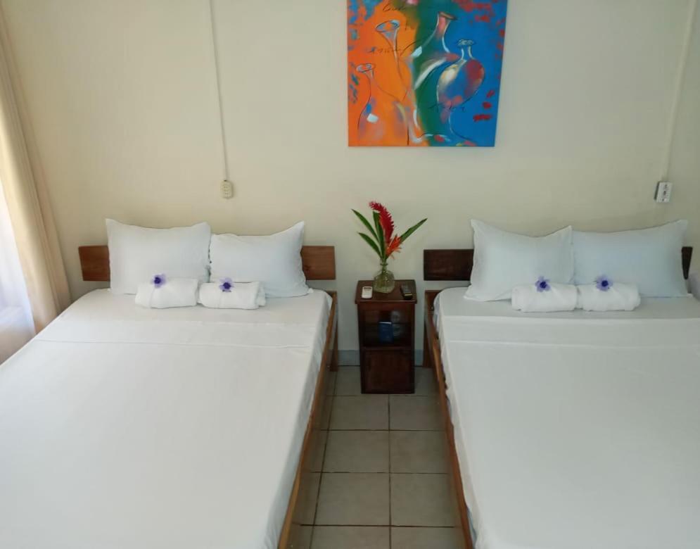 Cabinas Coco Alegre Exterior photo