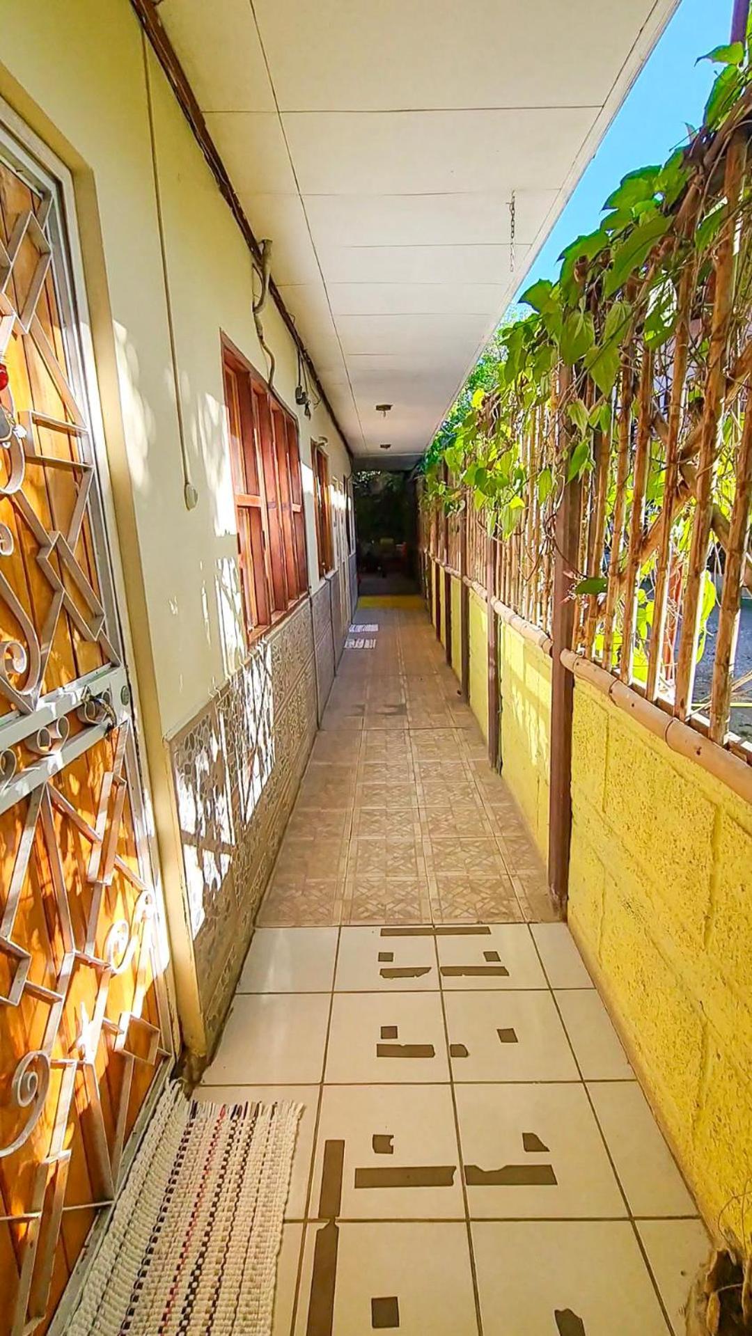 Cabinas Coco Alegre Exterior photo